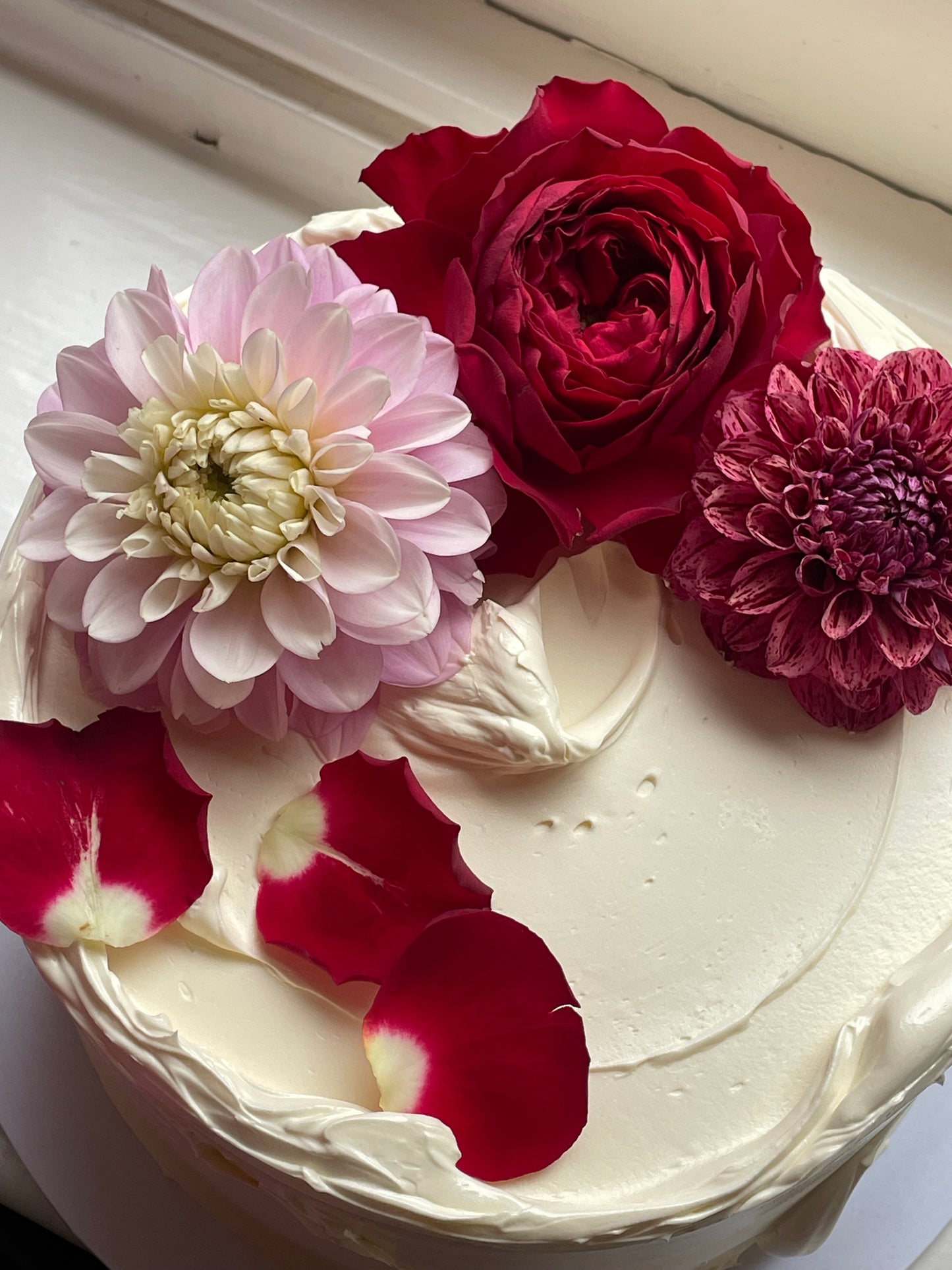 Signature Swirl in Bloom