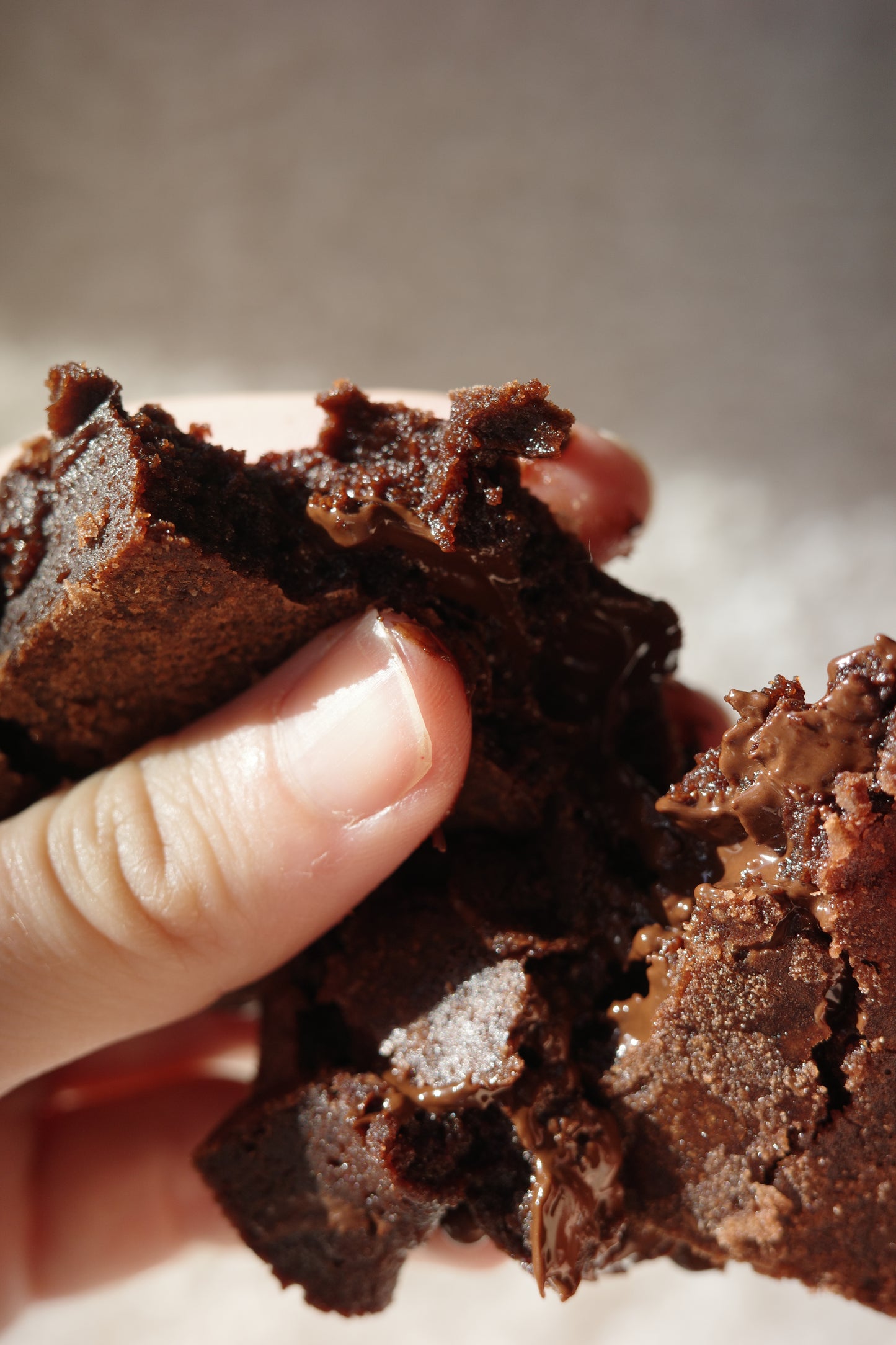 Classic Mailbox Brownies